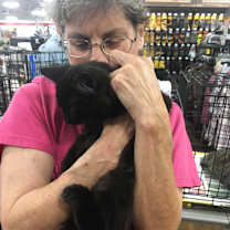 Thumbnail photo of Batman bonded (see description #2