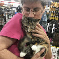 Thumbnail photo of Pineapple bonded(see descript) #1