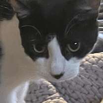 Thumbnail photo of Sky #2