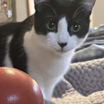 Thumbnail photo of Sky #3