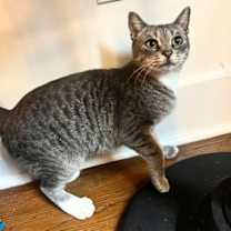 Thumbnail photo of Princess Pitkin #2