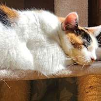 Thumbnail photo of Mimi (Mama) #4