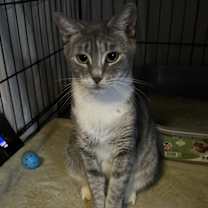 Thumbnail photo of Betsy #1