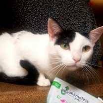 Thumbnail photo of valentine #2