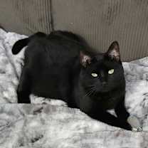 Thumbnail photo of Harry #3