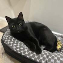 Thumbnail photo of Harry #4