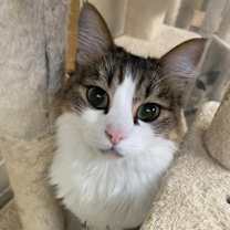 Thumbnail photo of Ernesto #1