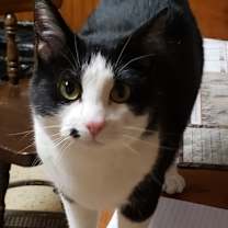 Thumbnail photo of Miles Mac kb bond w Lil Momma #1