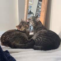 Thumbnail photo of Ricky and Lucy #1