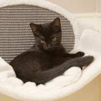 Thumbnail photo of Kipper #2