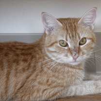 Thumbnail photo of Samantha #4