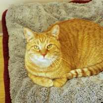 Thumbnail photo of Terry #1