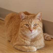 Thumbnail photo of Terry #2