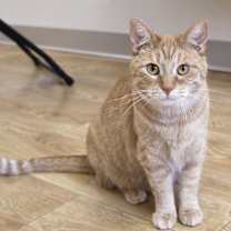 Thumbnail photo of Terry #3