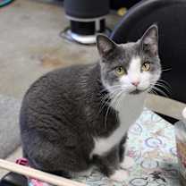 Thumbnail photo of Gail #1