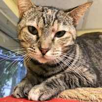 Thumbnail photo of Becka #1