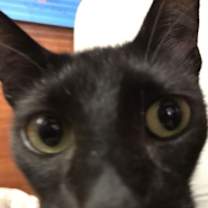 Thumbnail photo of Daisy May #4