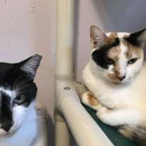 Thumbnail photo of Jimmy D #4