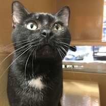 Thumbnail photo of Davie #3