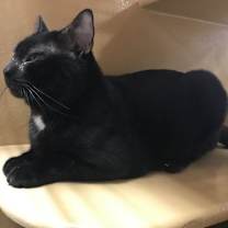 Thumbnail photo of Davie #4