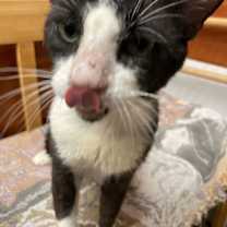 Thumbnail photo of Seven #4