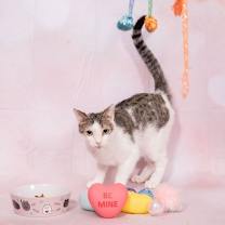 Thumbnail photo of Lenny #2