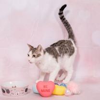 Thumbnail photo of Lenny #3