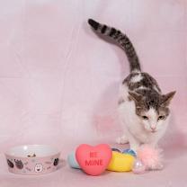 Thumbnail photo of Lenny #4