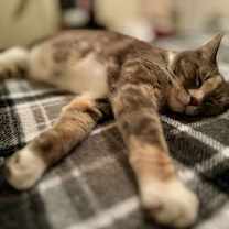 Thumbnail photo of Camille #4