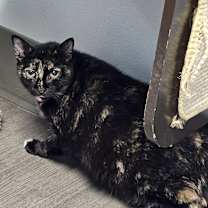 Thumbnail photo of Olivia #3