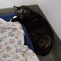 Thumbnail photo of Olivia #4