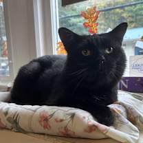 Thumbnail photo of Jethro #1