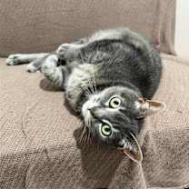 Thumbnail photo of Posy #3