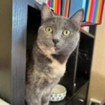 Thumbnail photo of Summer #1