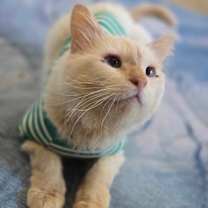 Thumbnail photo of Gandalf #2