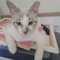 Thumbnail photo of Latte #1