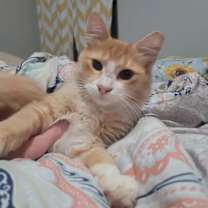 Thumbnail photo of Rocket #1