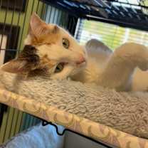 Thumbnail photo of Georgina #2