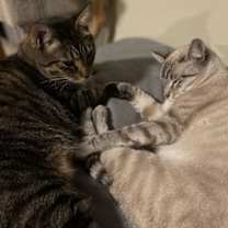 Thumbnail photo of Freeway & Francisco #1