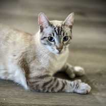 Thumbnail photo of Freeway & Francisco #3