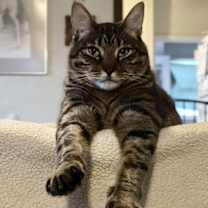 Thumbnail photo of Freeway & Francisco #4