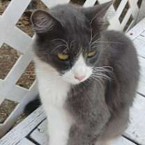 Thumbnail photo of Julie #3