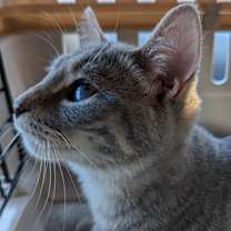 Thumbnail photo of Tina #4
