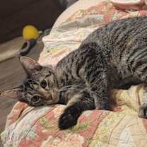 Thumbnail photo of Sofia #1