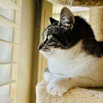 Thumbnail photo of Evie #2