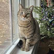 Thumbnail photo of AG aka Amazing Grace #3