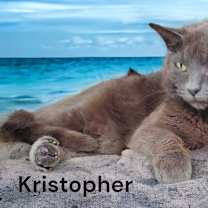 Thumbnail photo of Kristopher #2