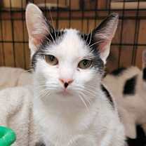 Thumbnail photo of Eloise #4