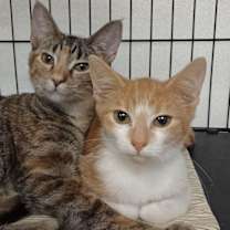 Thumbnail photo of Shay and Zake #1