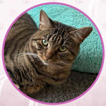 Thumbnail photo of Piccolo #1